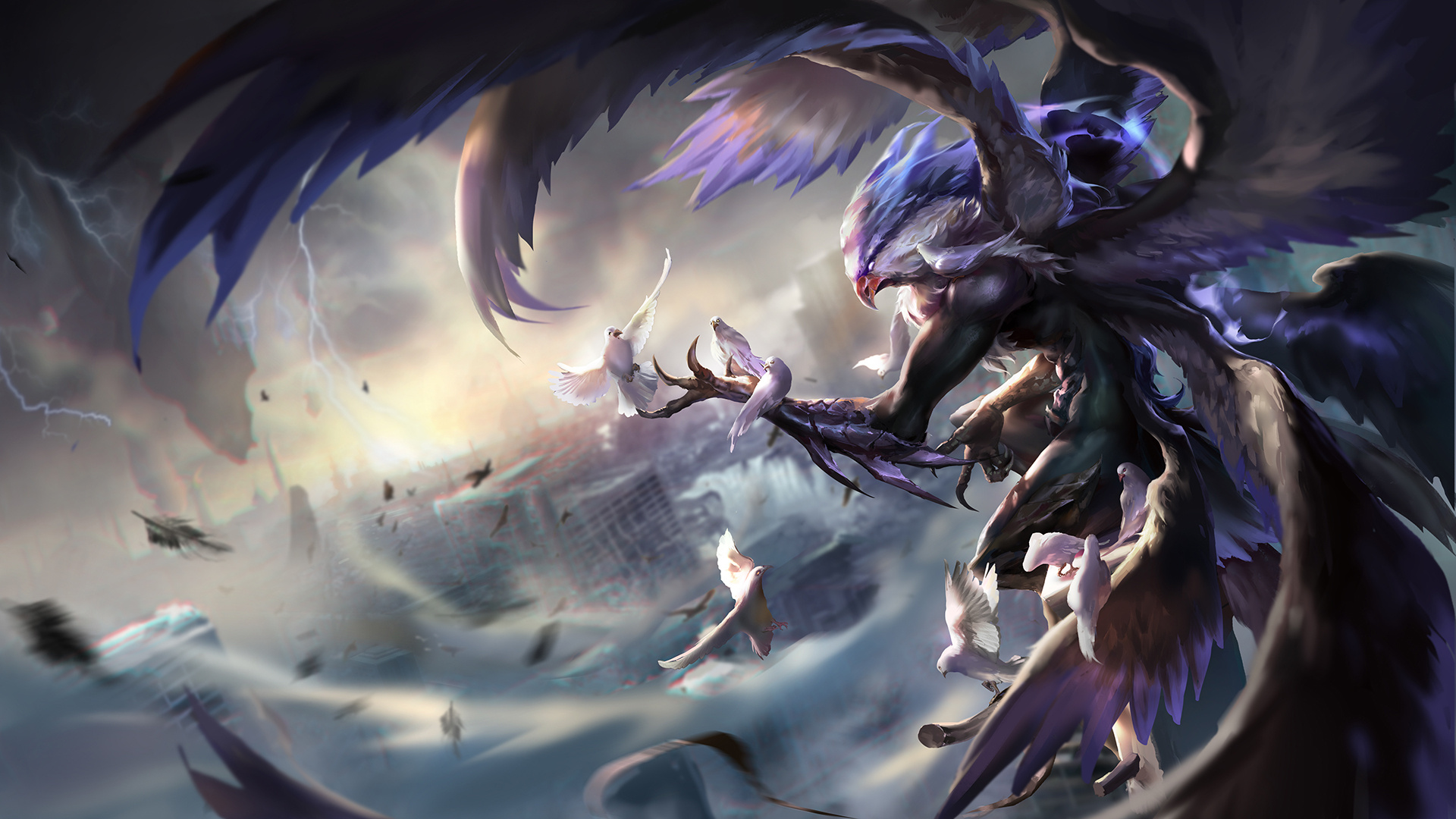 丝的关注 丝的关注